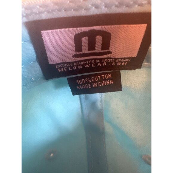 Chicago Cubs Cubbie Bear Embroidered Blue Snapback Cap Adjustable - Picture 5 of 5